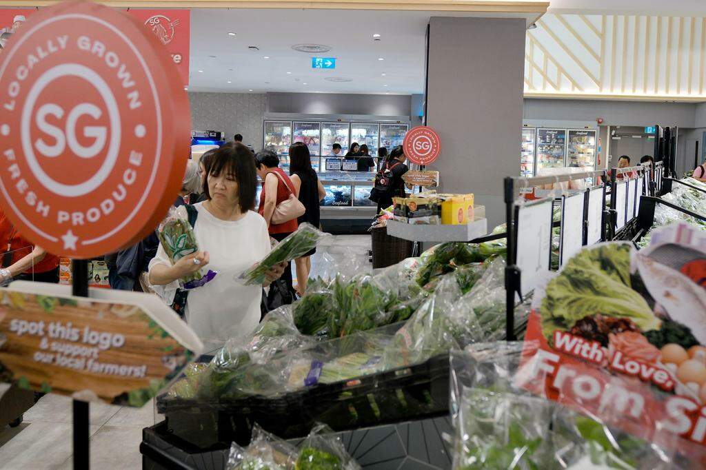 Last year, the local egg production increased and the overall food productivity did not exceed 10% of the nutritional needs of Chinese people