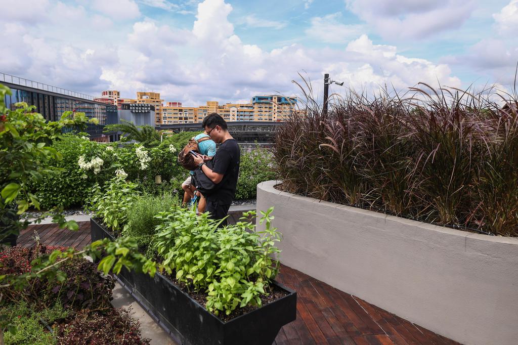 Tampines Tiandi Open-air Garden Opening Wheelchair User Accessible 