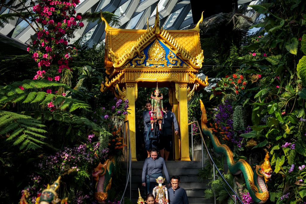 More than 60 kinds of oriole flowers are exhibited in the Marina Bay Garden to celebrate the 60th anniversary of the establishment of diplomatic relations between Xintai