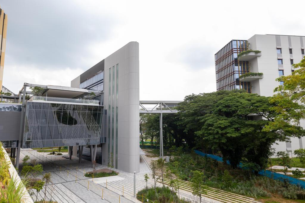 As an emerging energy test bench, Punggol Digital Park will set up its first smart regional power grid